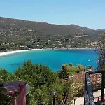 Olivastro Torre delle Stelle