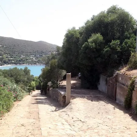 Olivastro Villa