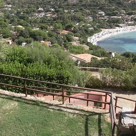 Olivastro