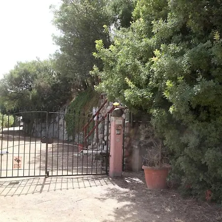 Olivastro