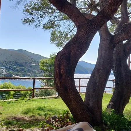 Olivastro Villa *