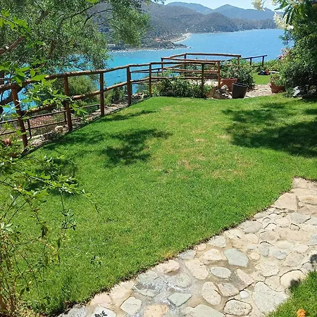 Olivastro