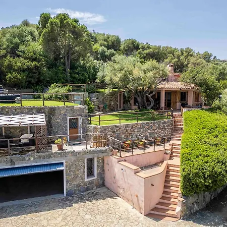 Olivastro Villa Torre delle Stelle