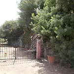 Olivastro