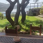 Olivastro فيلة