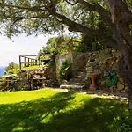 Olivastro