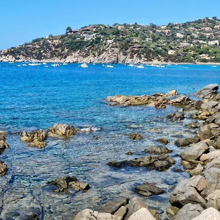 Olivastro * Torre delle Stelle