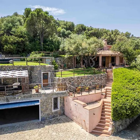 Olivastro Villa Torre delle Stelle