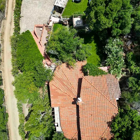 Villa Olivastro *