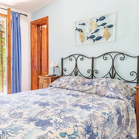 Olivastro * トッレ・デッレ・ステッレ