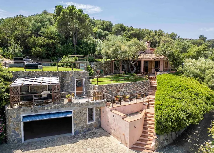 Olivastro Villa Torre delle Stelle